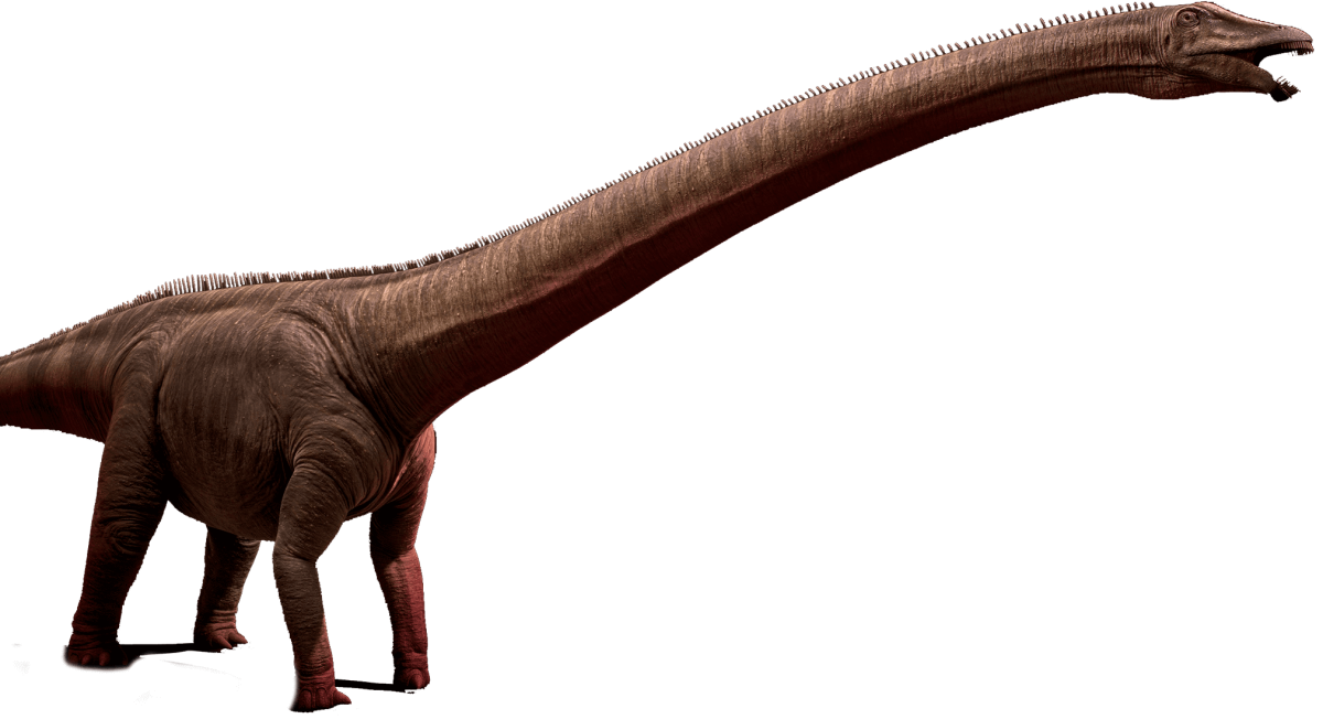 brontosaurus